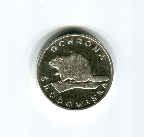Polen 100 zloty biber - 100,